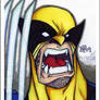 Wolverine sketchcard