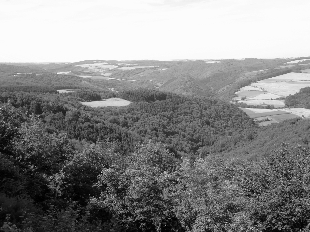 View from Mont Saint Nicolas