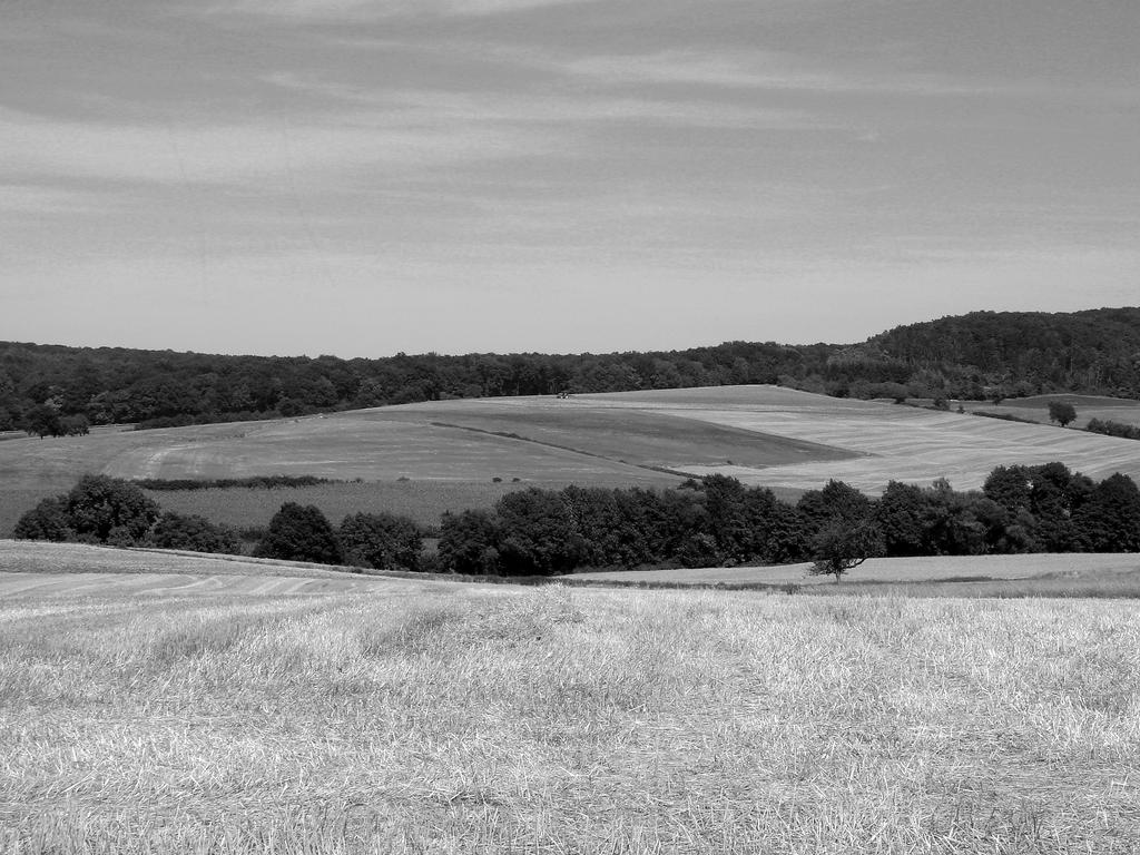 Luxembourgish Countryside 2