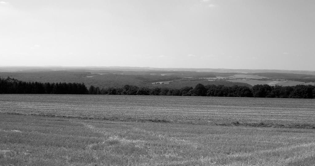 Luxembourgish Countryside 4