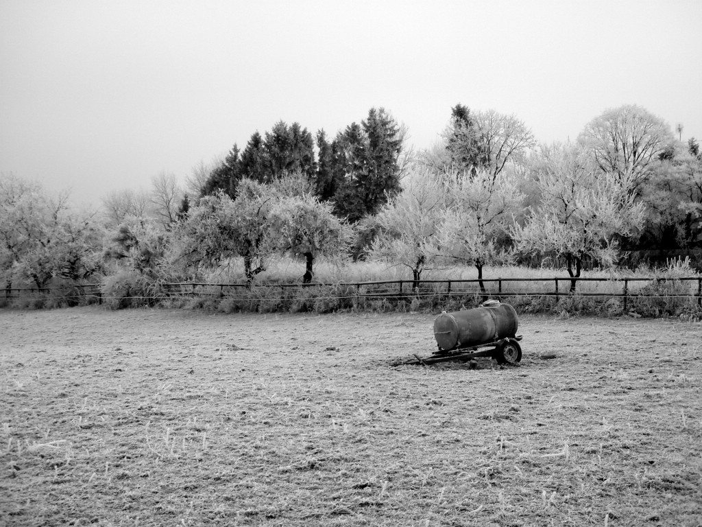 Empty and thus lonely pasture