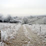 A frosty day in Luxembourg #2