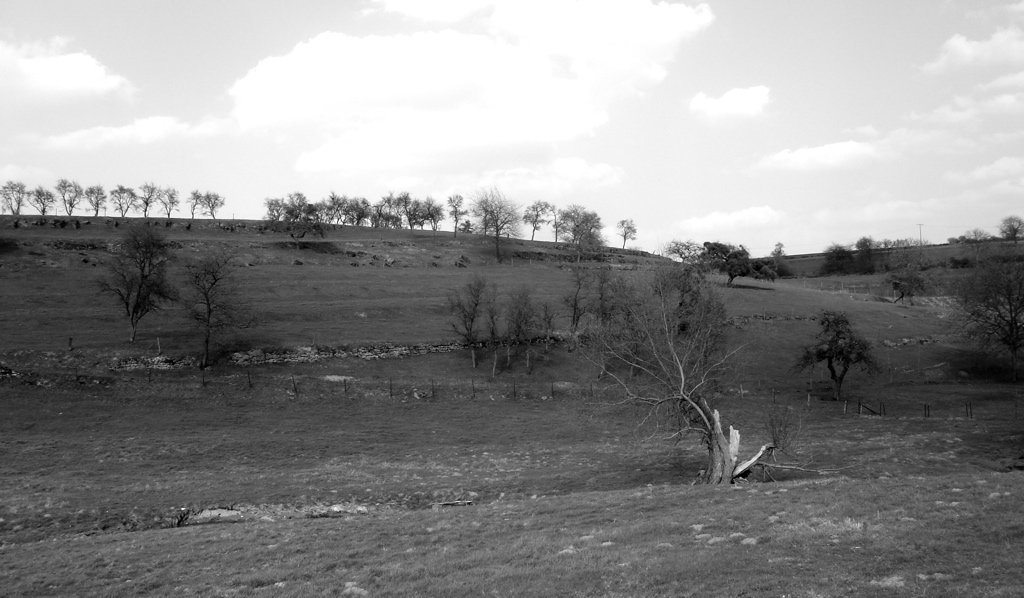 Luxembourgish Countryside