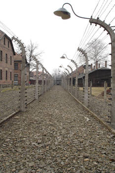 Auschwitz Electrical Fencing