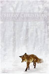 Winter Fox - Merry Christmas by Kiulani