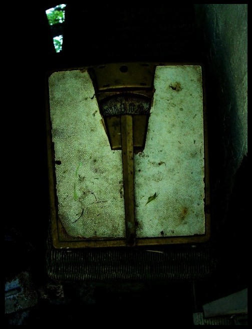 rust and scale by thekittyspit on DeviantArt