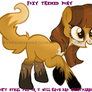 Foxy themed pony Commission for Housin 123!