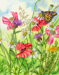 Monarch butterfly and wild flowers