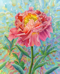 Peony Millefiori acrylic on canvas 50 by 60cm