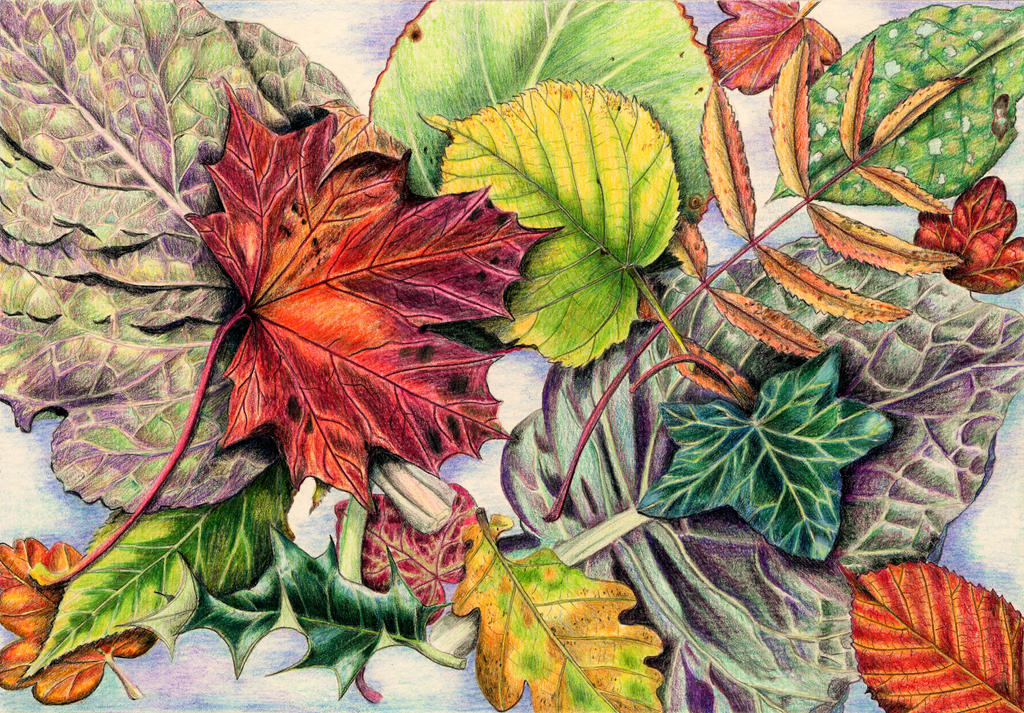 Картина осенних листьев. Цветной лист. Декоративные листья. Листья цветными карандашами. Листья композиция.