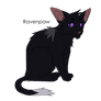 Ravenpaw (design)