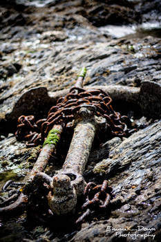 Lost anchor. Day 165 - 14/06/13