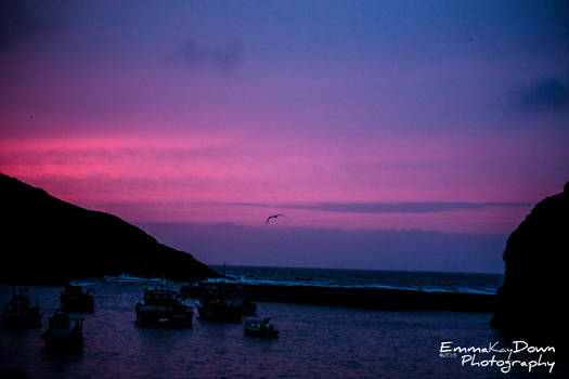 Red sunset over the see. Day 169 - 20/06/13