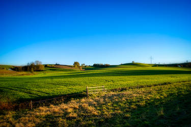 green scenery