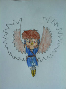 Sora with wings