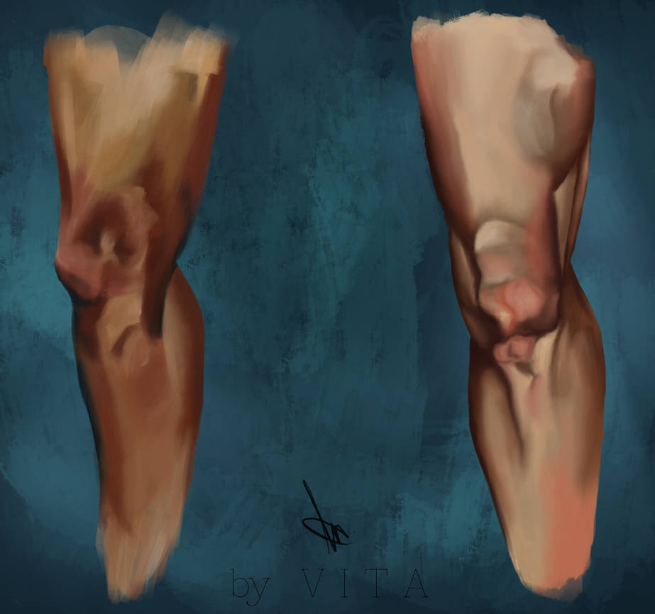 Deviantart Knees Knee Studies by The-Vita on DeviantArt
