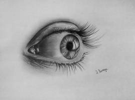 Eye