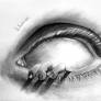 Creepy Eye