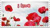 I love poppies by stardixa-resources