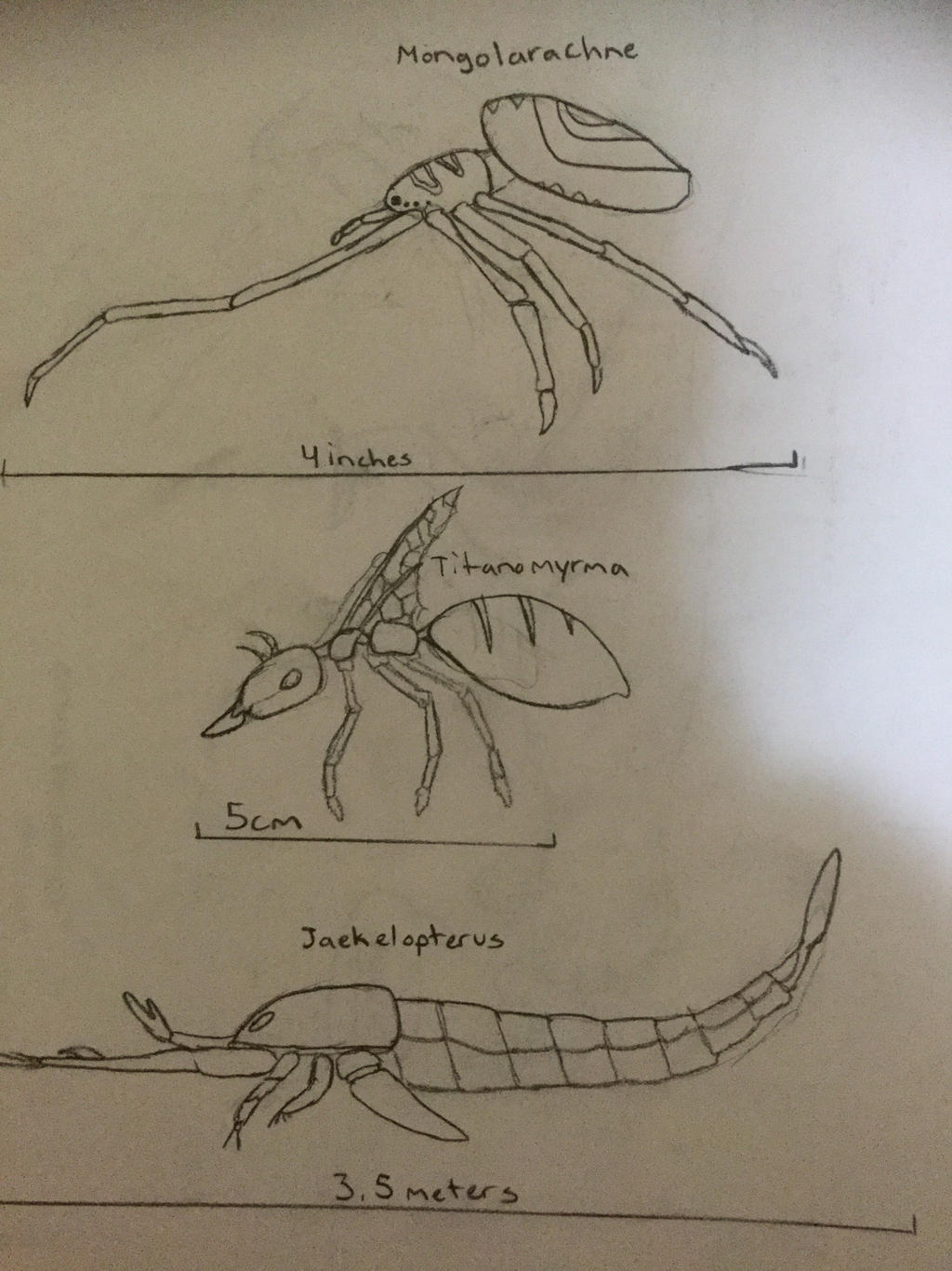 Primitive Bug Prehistoric Bugs by TheArgentinosaurus13 on DeviantArt