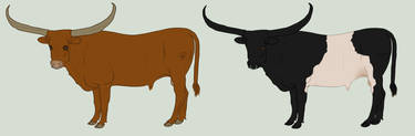 Rockwell Bulls