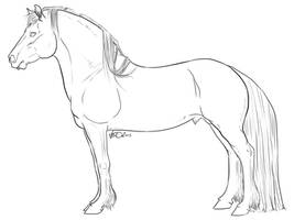 Welsh Warmblood