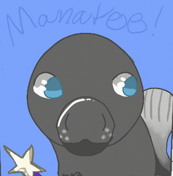 [animated] Manatee!