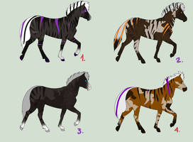 Equine Point Adoptables 11