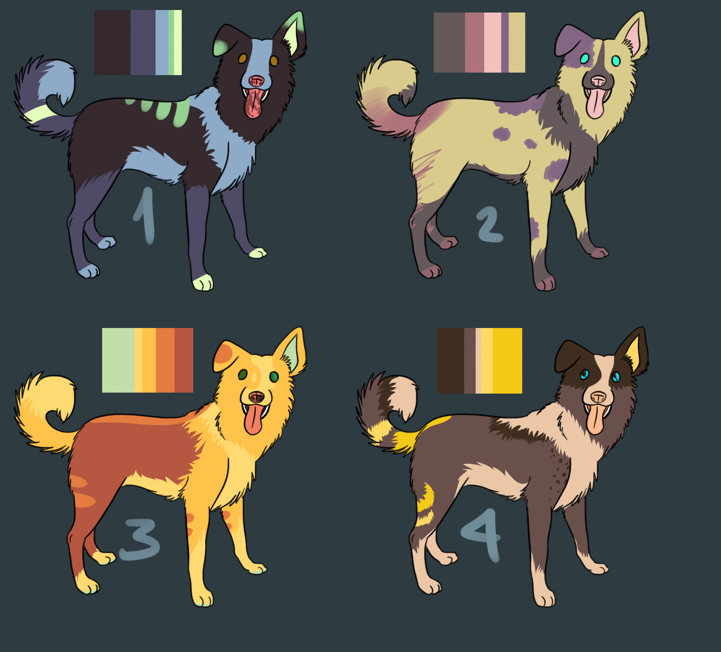 Border Collie Adoptables