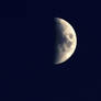 Gootnight moon