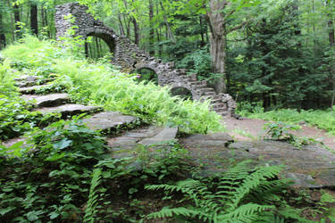 Castle in the Woods