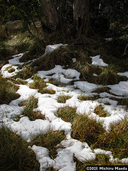 Snow melts on Lake Mountain