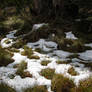 Snow melts on Lake Mountain