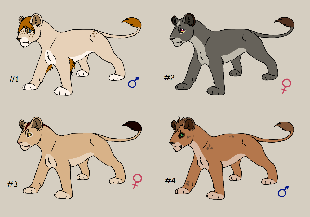 Adoptable lions