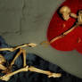 The Creation of Vomer