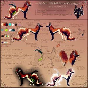 Kalani: Feral Reference Sheet