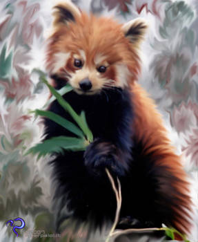 The Red Panda - Firefox