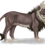 Andromeda the Lion