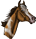 Tobiano-Horse