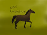Largiemuse by HighCounts