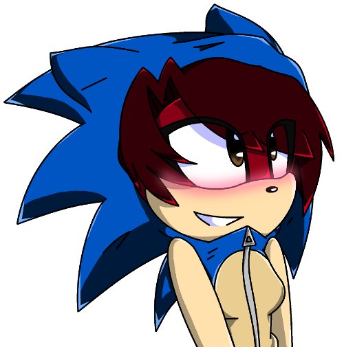 .:Sonic Hoodie lulz:.