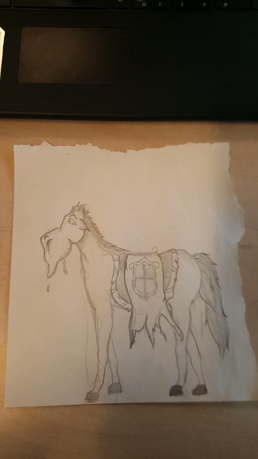 Random Horse thingy