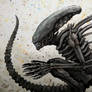 Xenomorph sketch