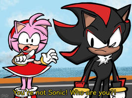 A Mysterious Mistake (SA2)