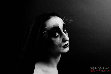 Hellryder User Profile | DeviantArt