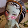 Custom Monster High Frankie