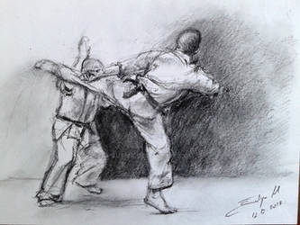 Kyokushin Karate