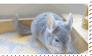 Chinchilla Stamp