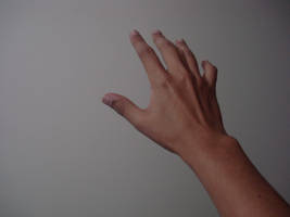 Hand Poses 6 - Reaching...