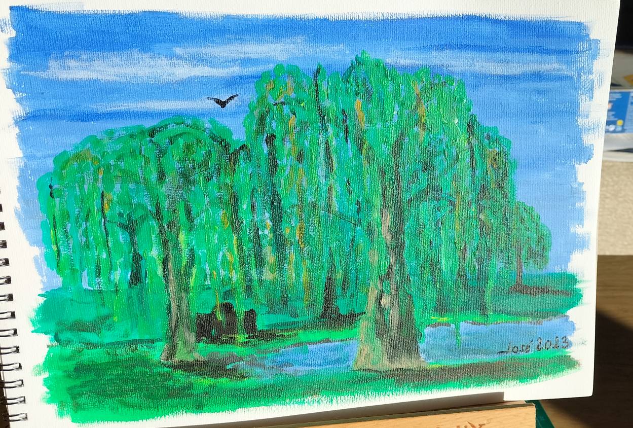 Parque de los Patos by tytomaky on DeviantArt